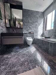 Parksuites (D10), Apartment #591356491